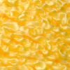 Açucena 1255 - Canário - Image 2